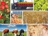 Programi Federalnog ministarstva poljoprivrede, vodoprivrede i šumarstva za podršku poljoprivrednom sektoru